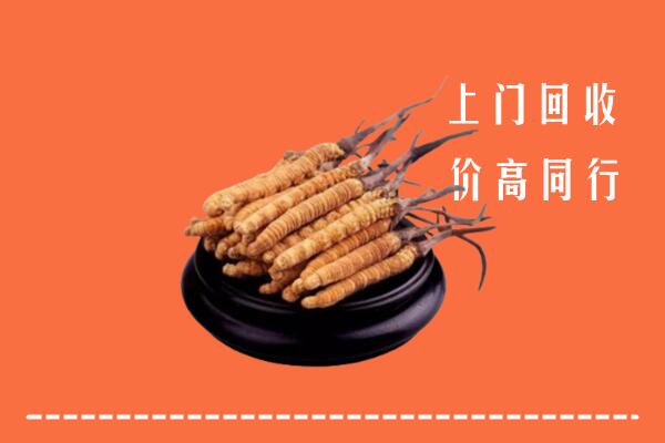 高价求购：韩城市回收散虫草