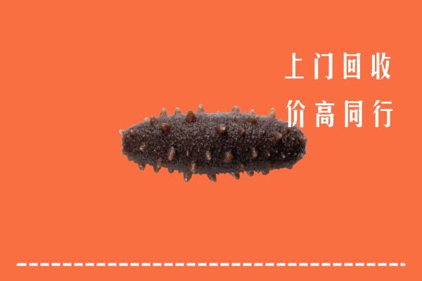 高价求购：韩城市回收海参